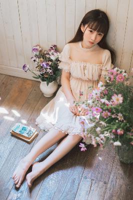 巡回检察组免费观看全集完整版