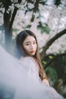 美国姑娘免费观看电视连续剧