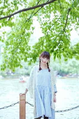 仙台有树电视剧免费观看全集高清完整版