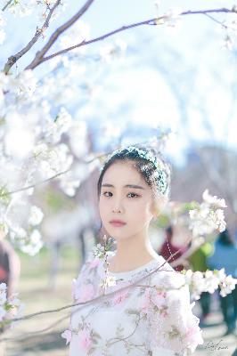 一笑随歌 电视剧