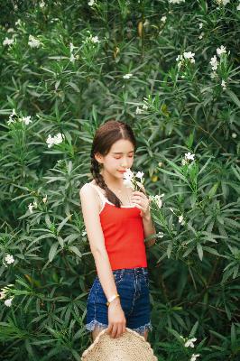 在线观看高清免费完整版电影