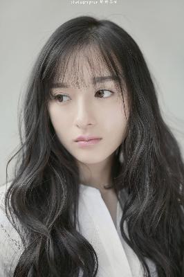 精英律师电视剧全集免费观看