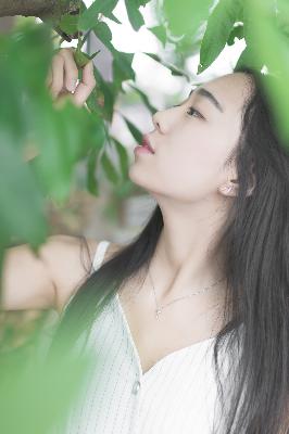 鬼灭之刃第四季