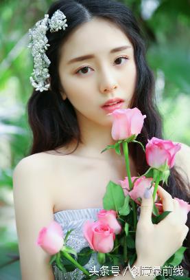 长风渡电视剧全集免费播放