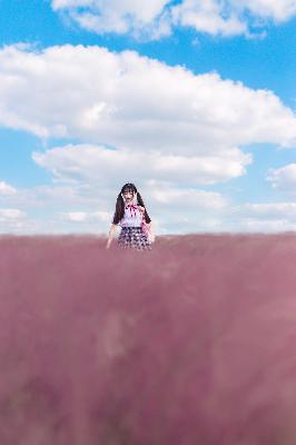 隔壁的女孩在线观看免费版电视剧全集2017