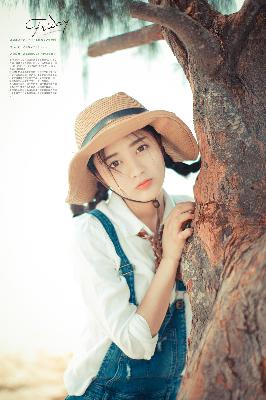 骄阳似我 电视剧