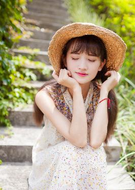 天才基本法电视剧免费观看