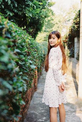 青青草视频在线观看