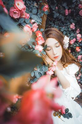 YY6080新视觉电影电视剧观看平台