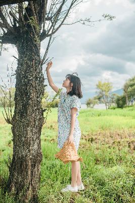 在线观看免费大片