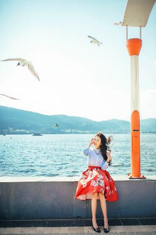 入青云电视剧免费观看全集完整版