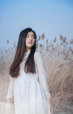 宁安如梦电视剧免费播放全集高清