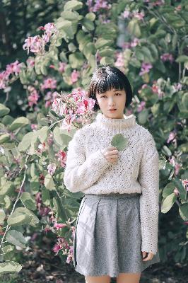 漫蛙漫画(网页入口)